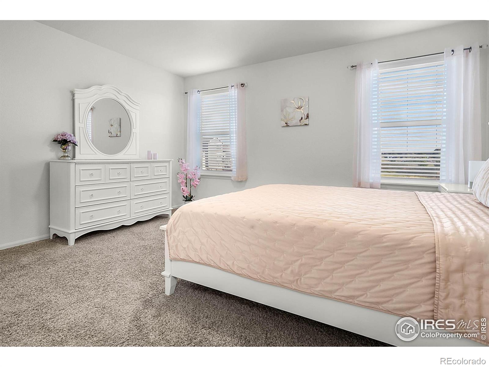 MLS Image #21 for 1774  thrive drive,windsor, Colorado