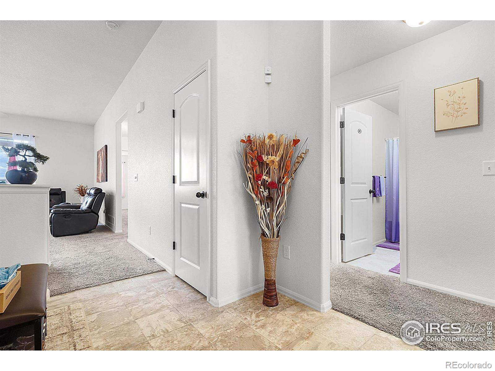 MLS Image #28 for 1774  thrive drive,windsor, Colorado