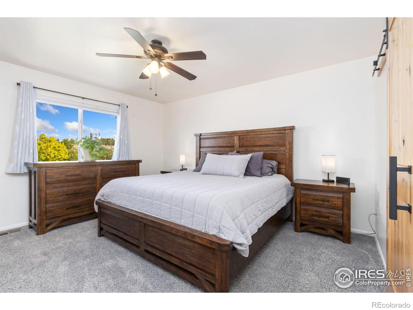 MLS Image #15 for 320  windflower way,severance, Colorado