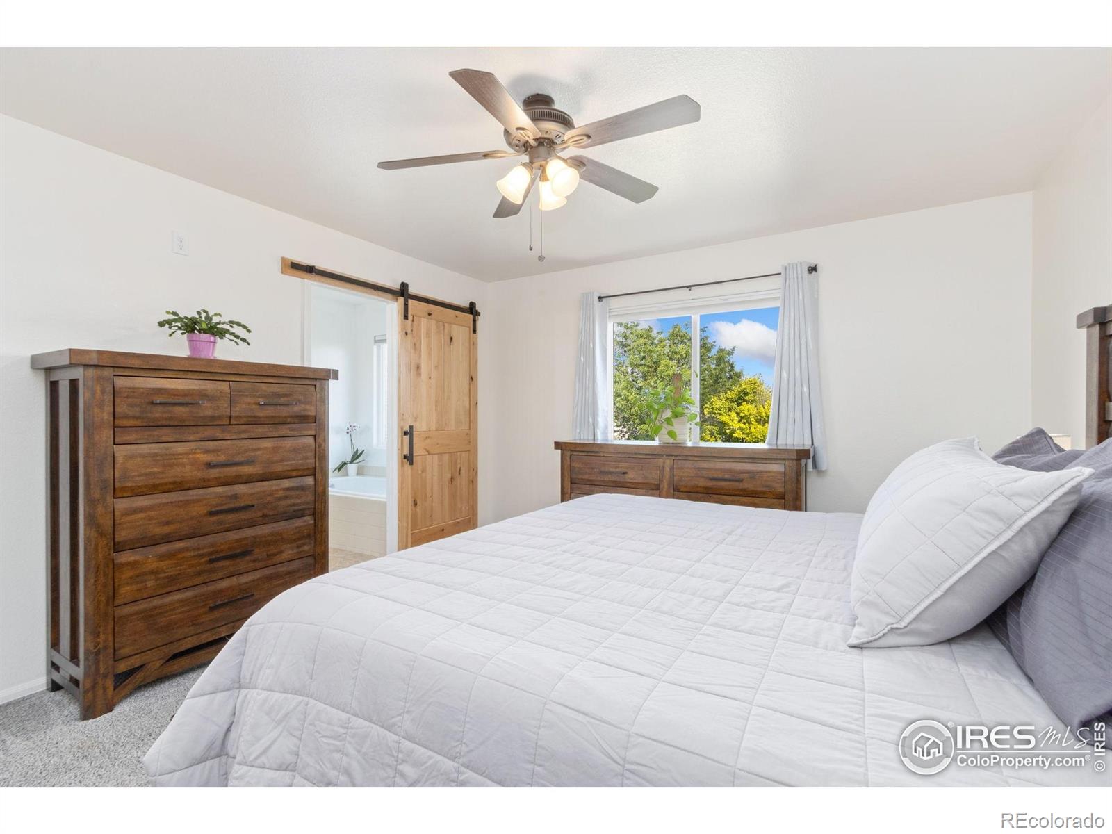 MLS Image #16 for 320  windflower way,severance, Colorado
