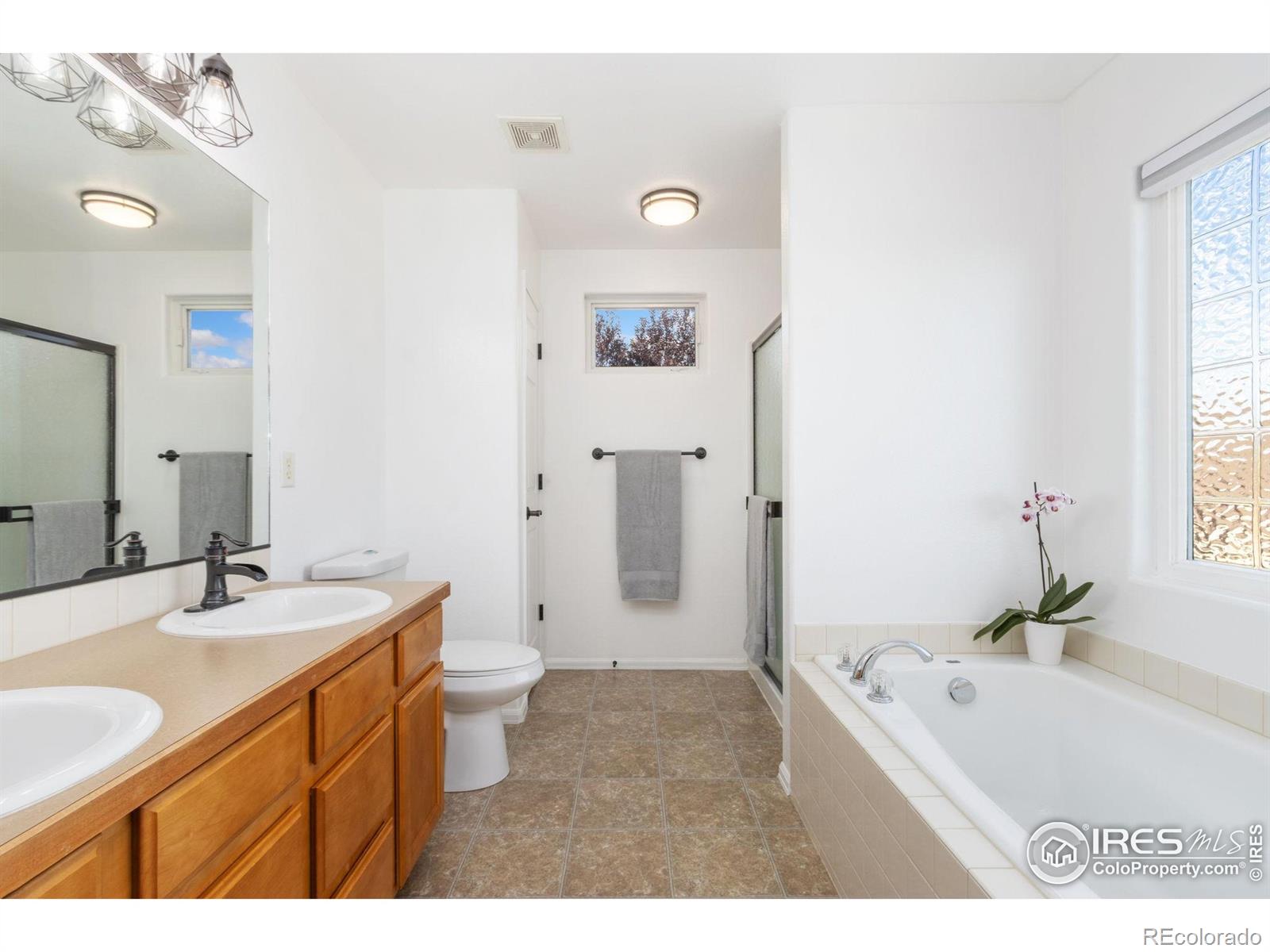 MLS Image #17 for 320  windflower way,severance, Colorado