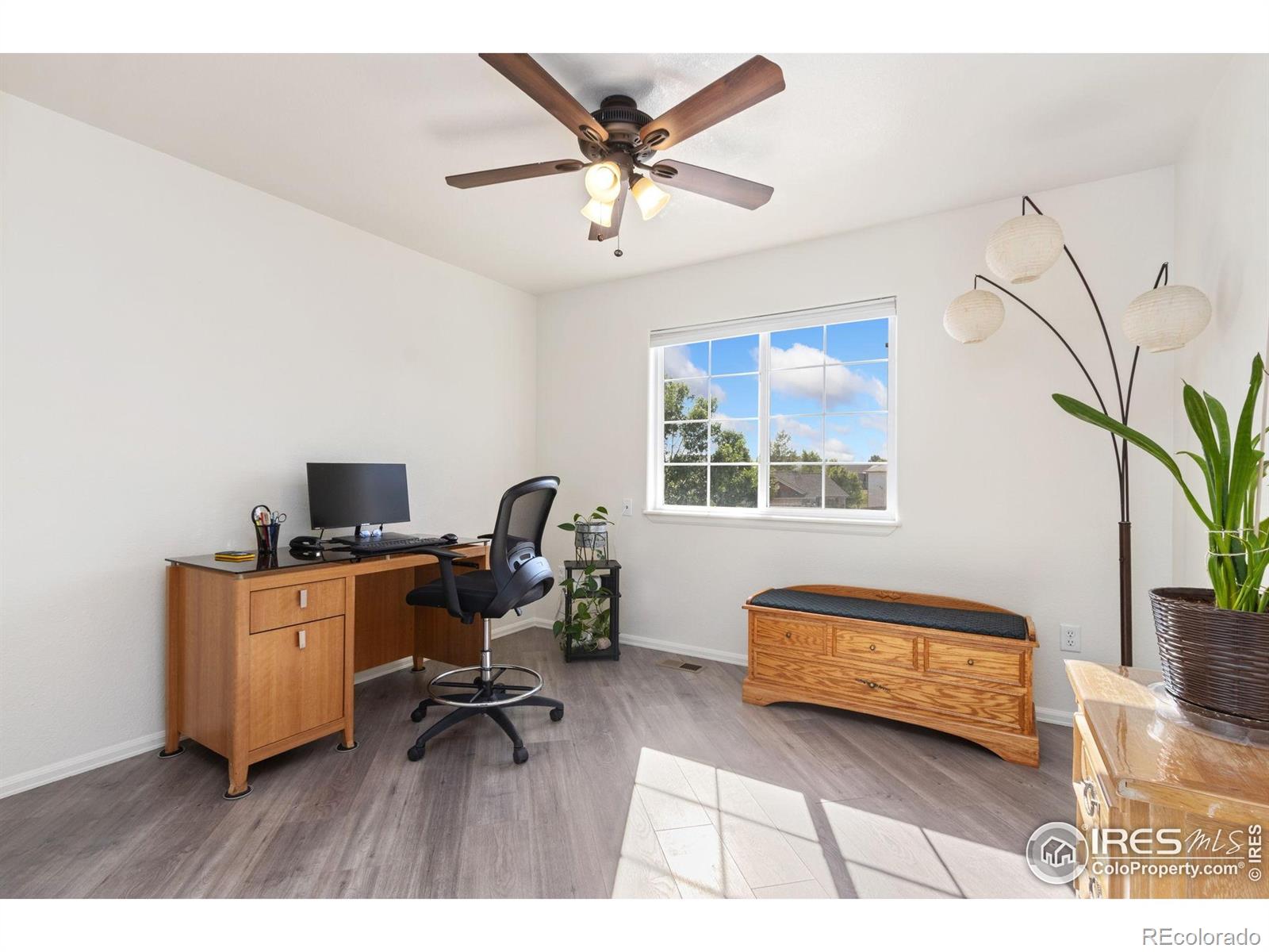 MLS Image #20 for 320  windflower way,severance, Colorado