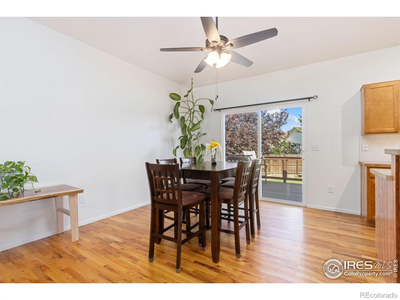 MLS Image #6 for 320  windflower way,severance, Colorado