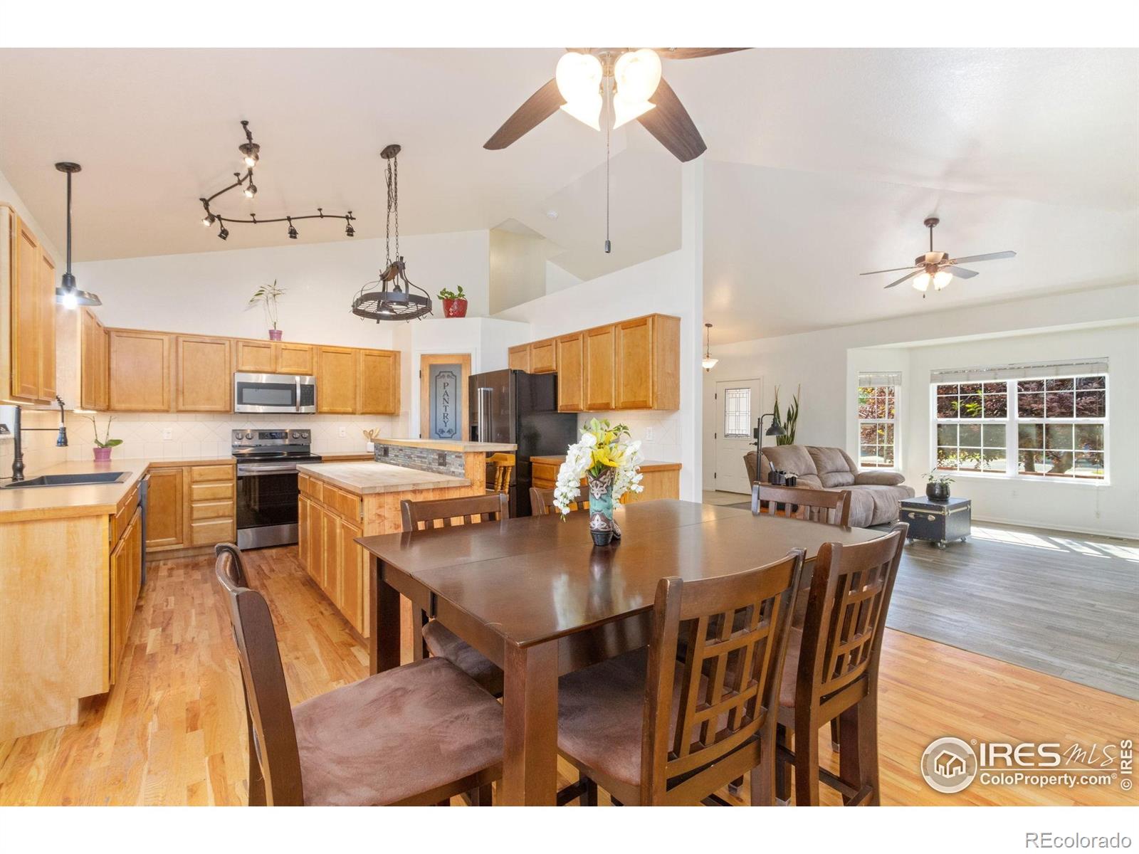 MLS Image #7 for 320  windflower way,severance, Colorado