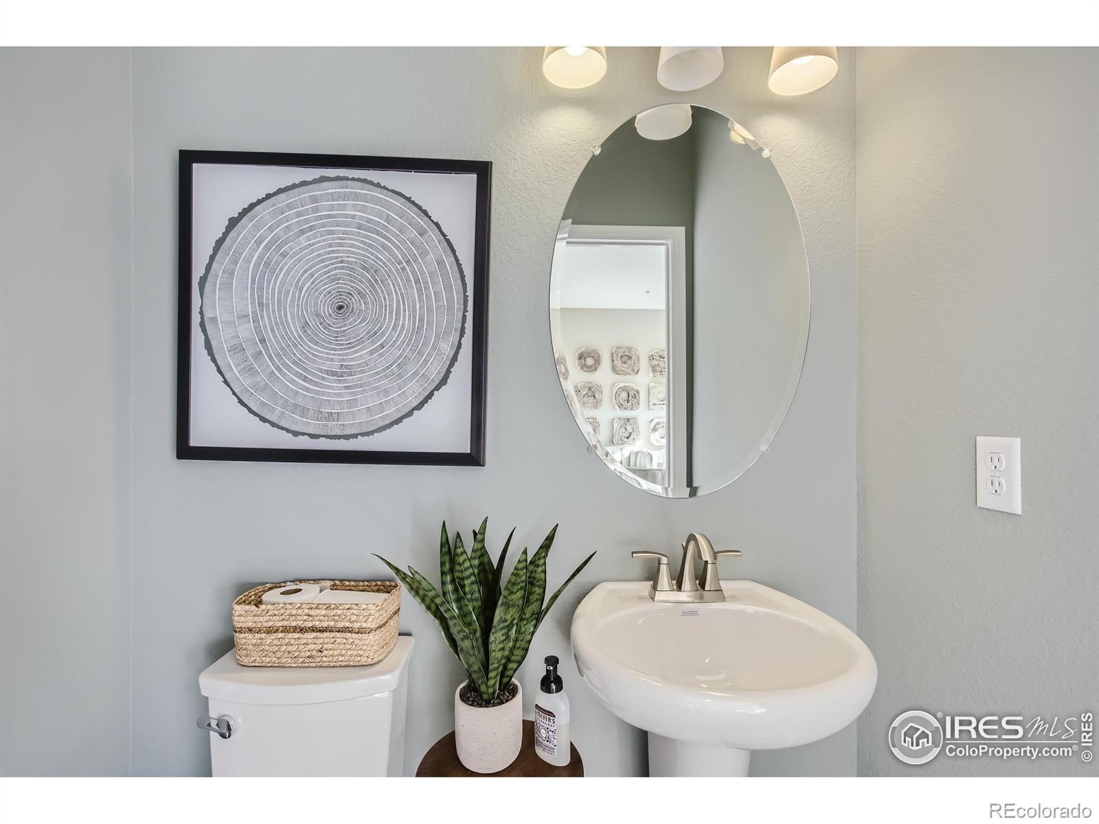MLS Image #10 for 919  schlagel street,fort collins, Colorado