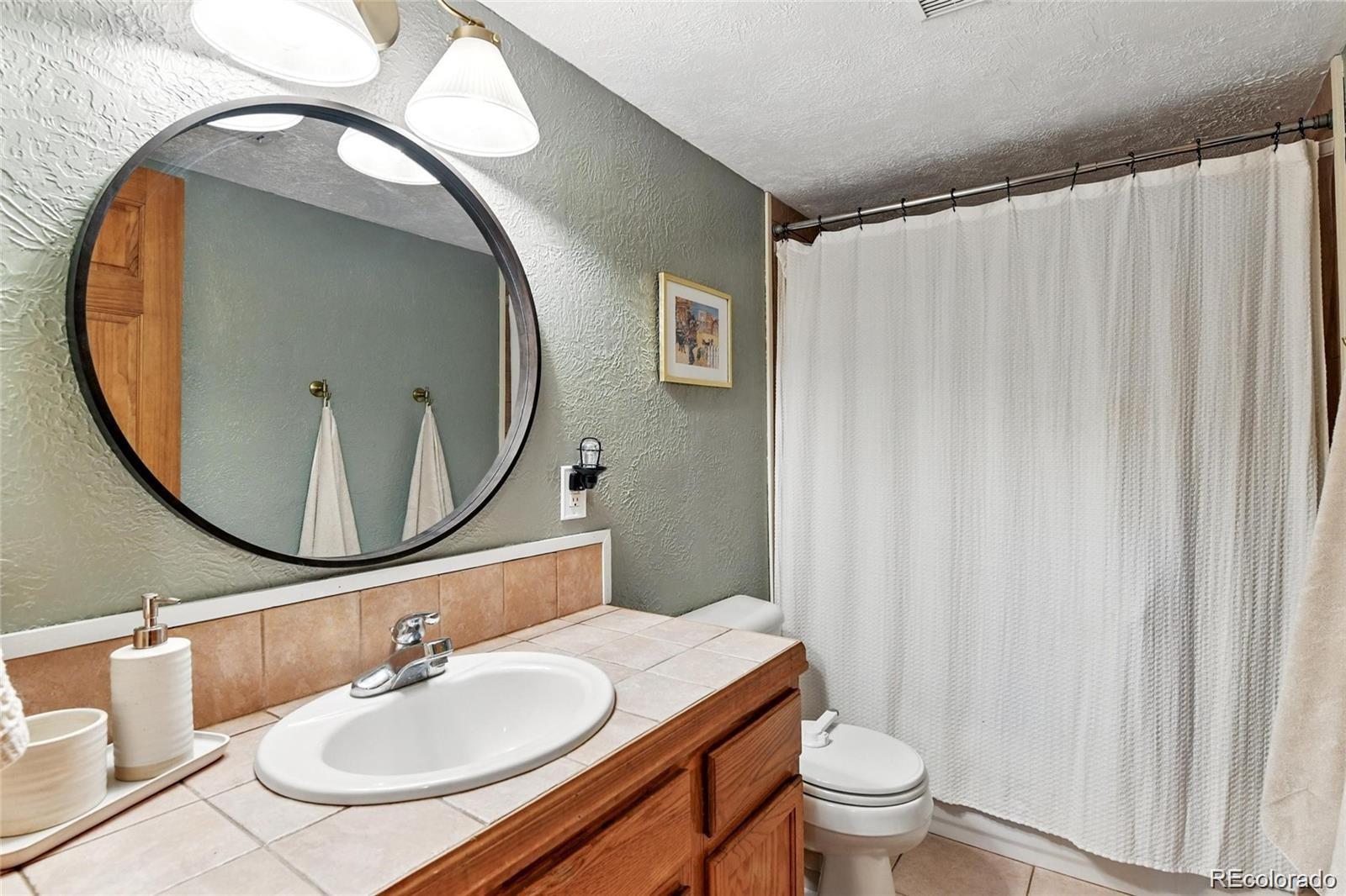 MLS Image #10 for 294  kudu trail,bailey, Colorado