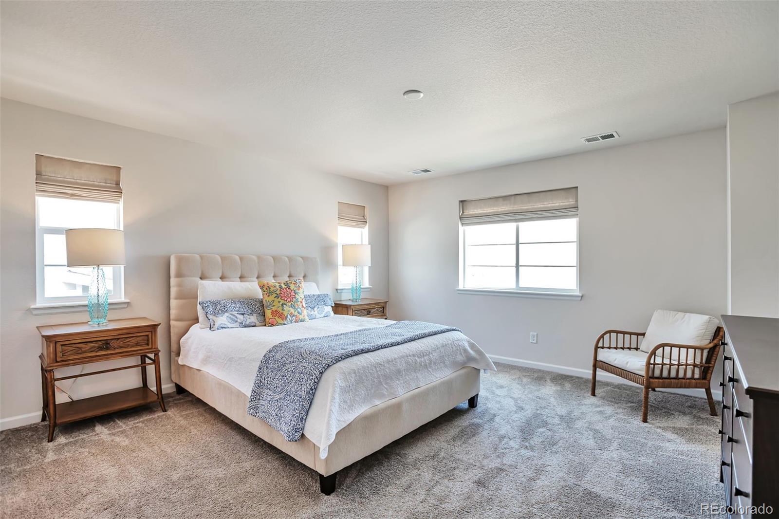 MLS Image #13 for 946  oleander street,castle rock, Colorado