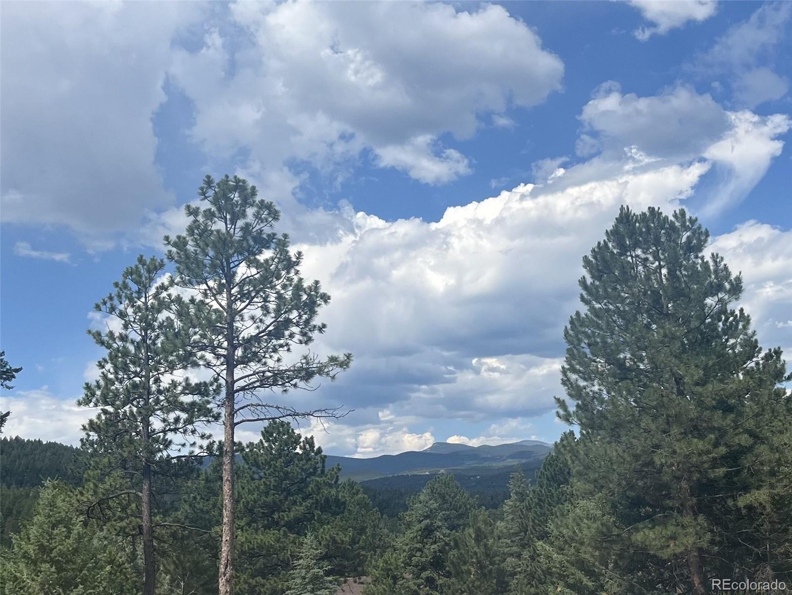 MLS Image #31 for 7390  monica lane,evergreen, Colorado