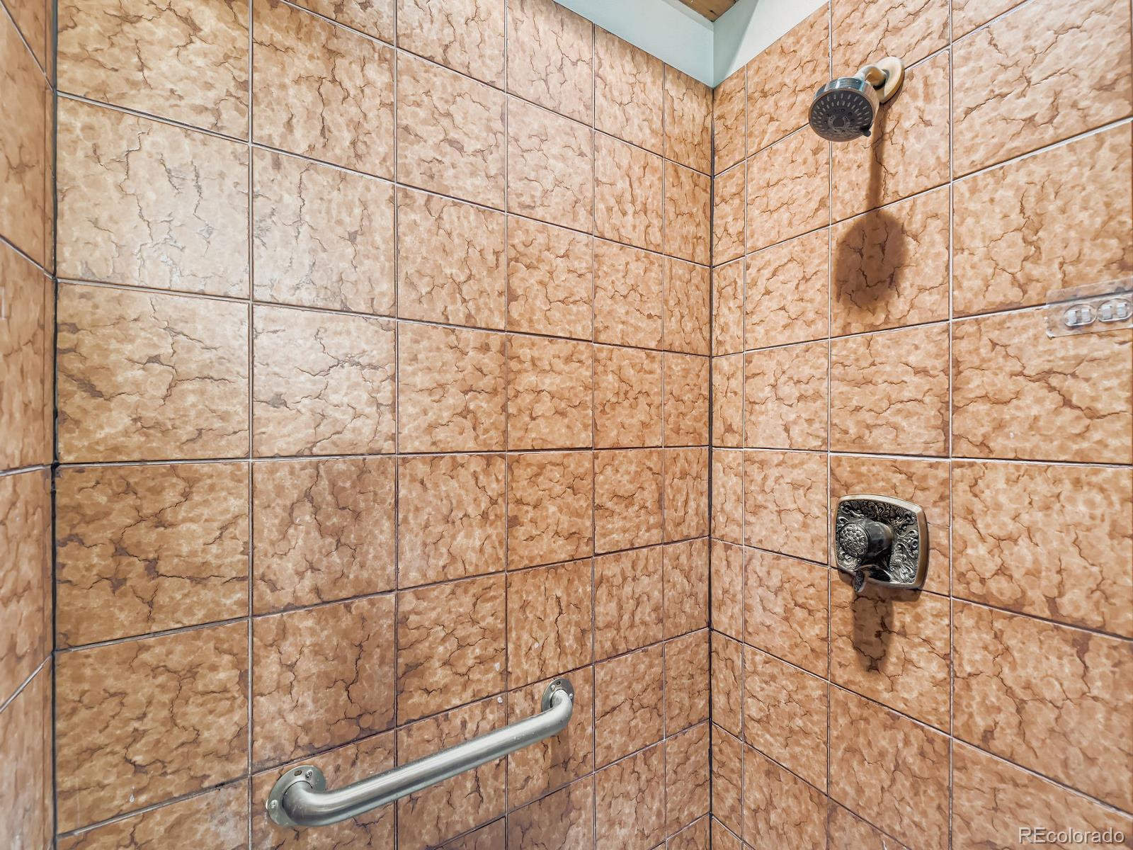 MLS Image #18 for 1467  saint paul street,denver, Colorado