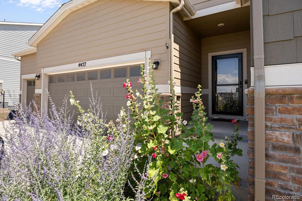 MLS Image #1 for 4477  river highlands loop,elizabeth, Colorado