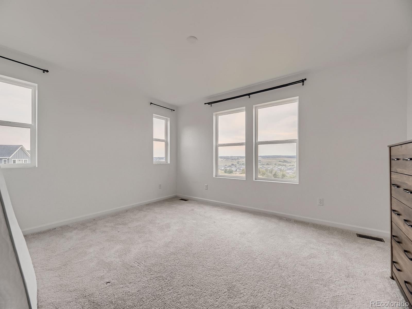 MLS Image #18 for 13446  amber sky street,parker, Colorado