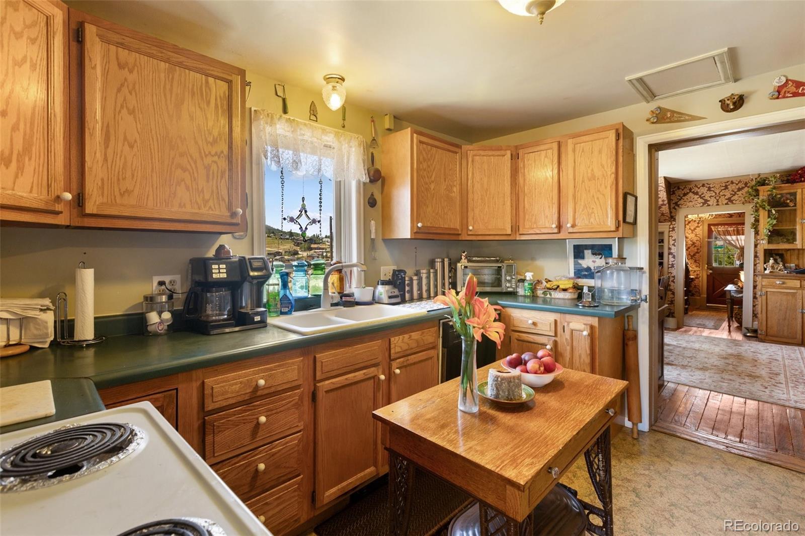 MLS Image #26 for 310 e whiting avenue,cripple creek, Colorado