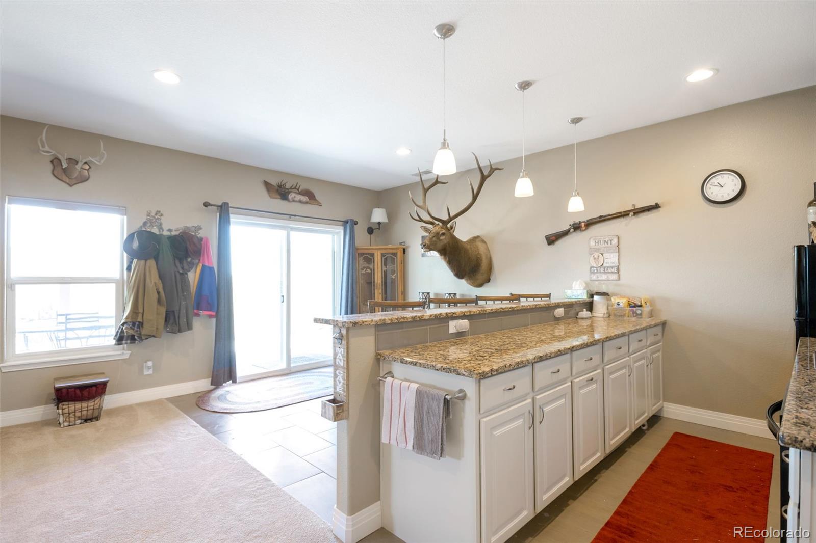 MLS Image #27 for 3560  zane gray loop,parker, Colorado