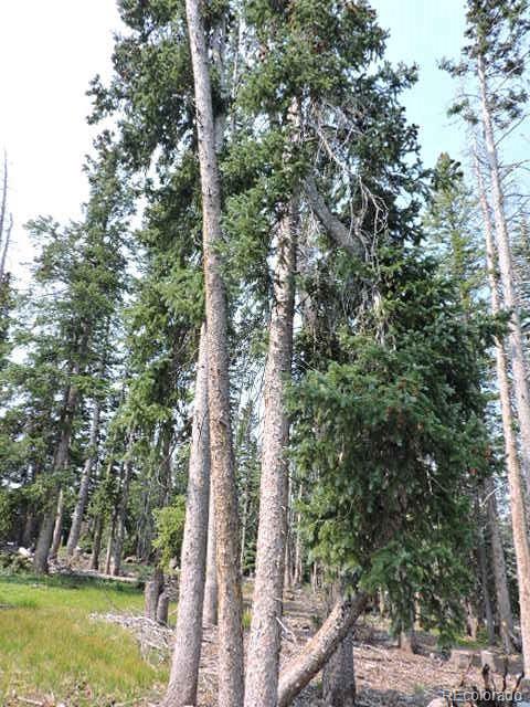 MLS Image #38 for 6548  giesse road,san luis, Colorado