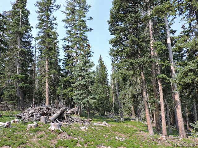 MLS Image #8 for 6548  giesse road,san luis, Colorado
