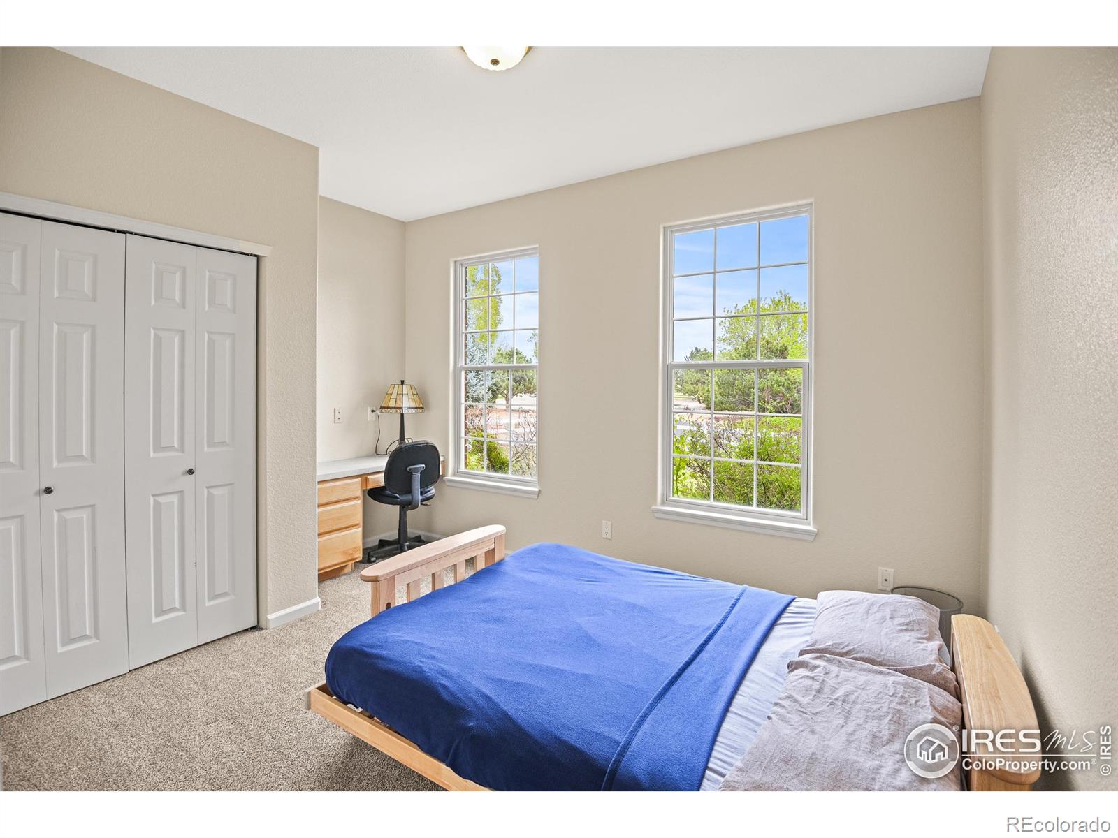 MLS Image #23 for 3784  whitetail court,mead, Colorado