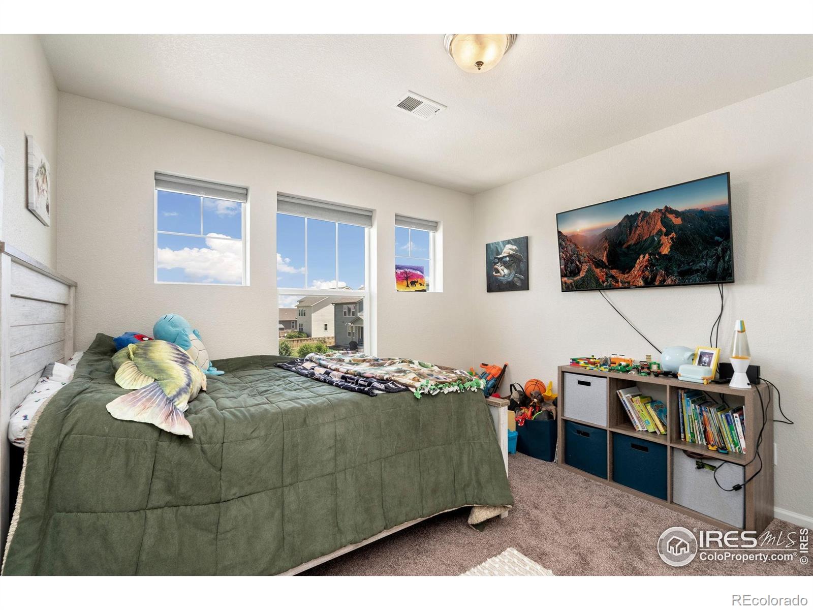 MLS Image #23 for 5259  odessa lake street,timnath, Colorado