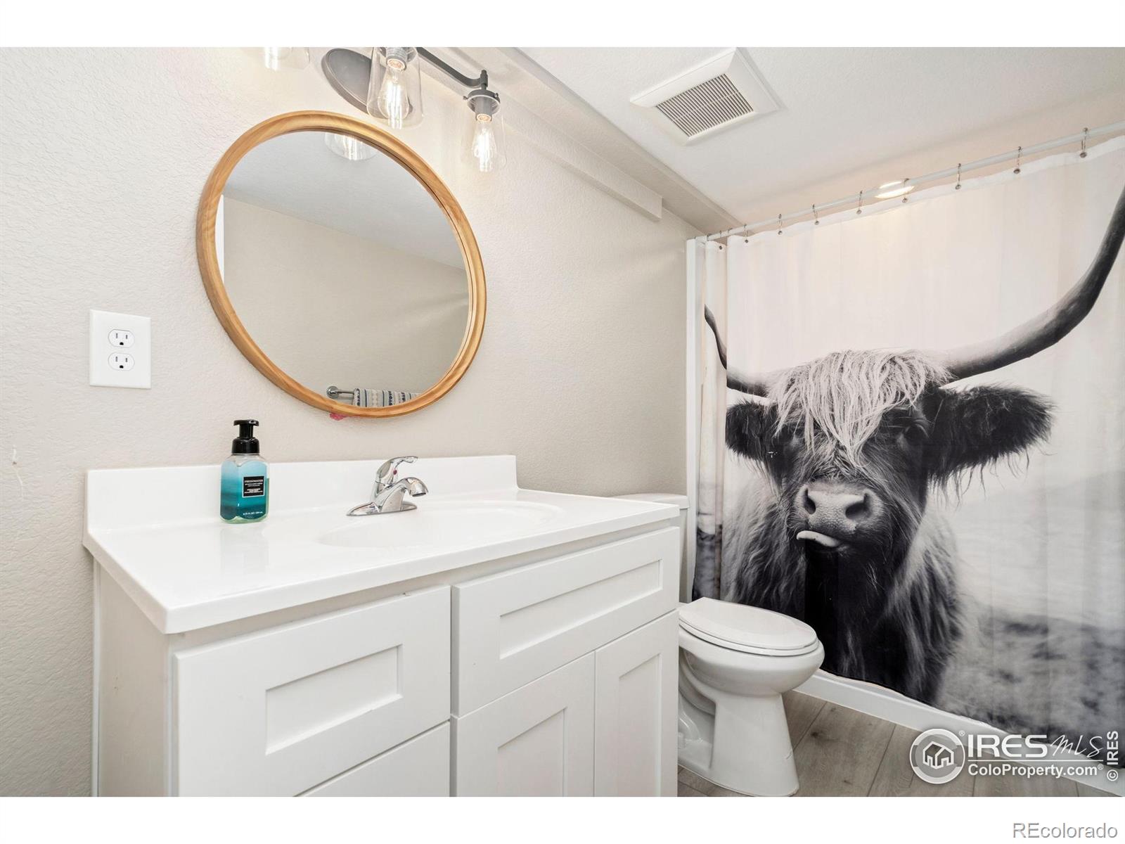 MLS Image #29 for 5259  odessa lake street,timnath, Colorado