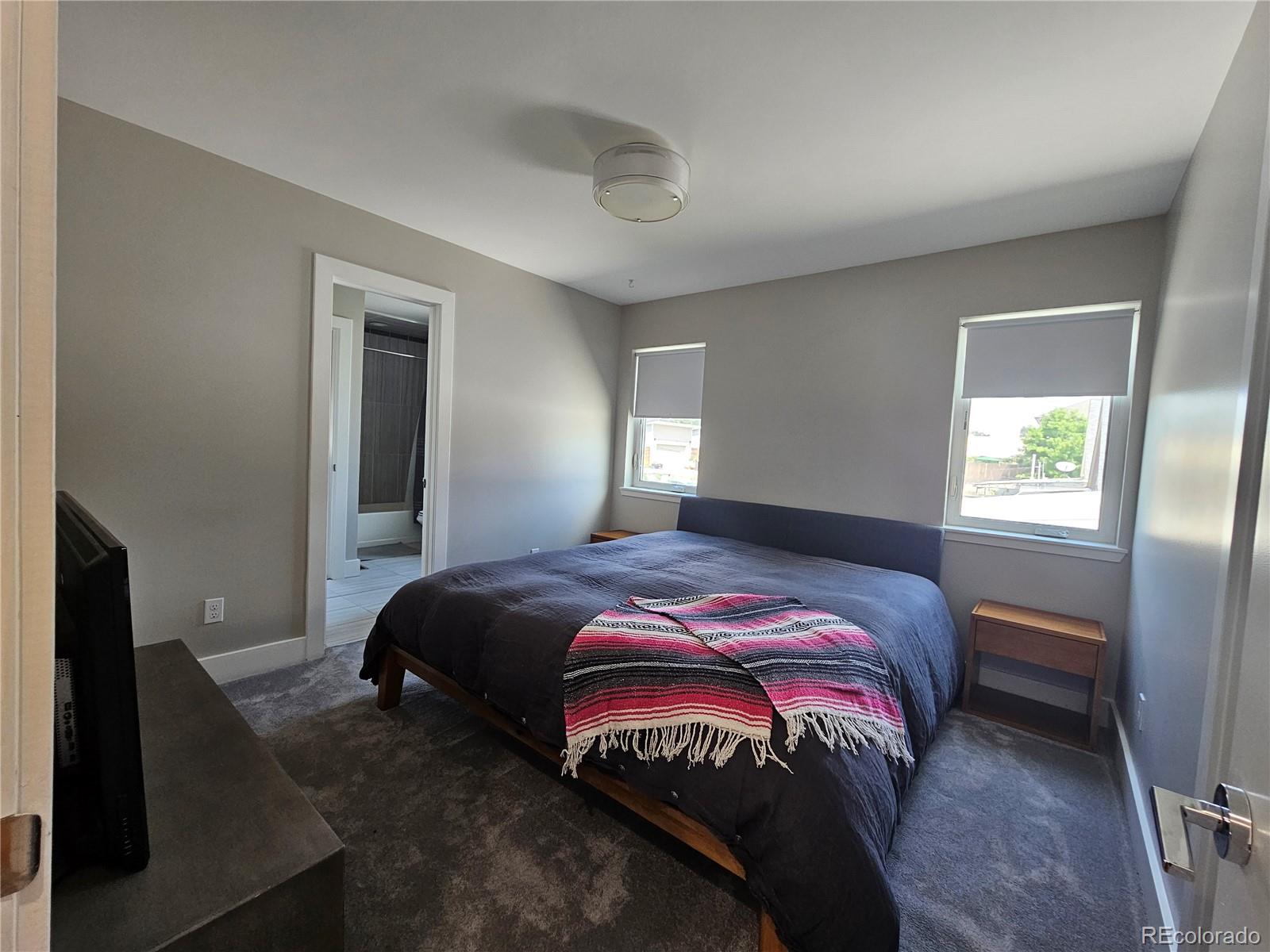 MLS Image #20 for 3719  mariposa street,denver, Colorado