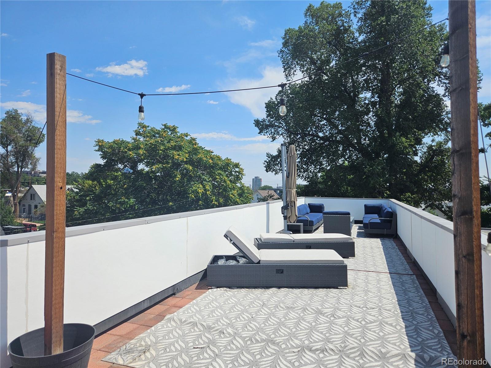 MLS Image #31 for 3719  mariposa street,denver, Colorado