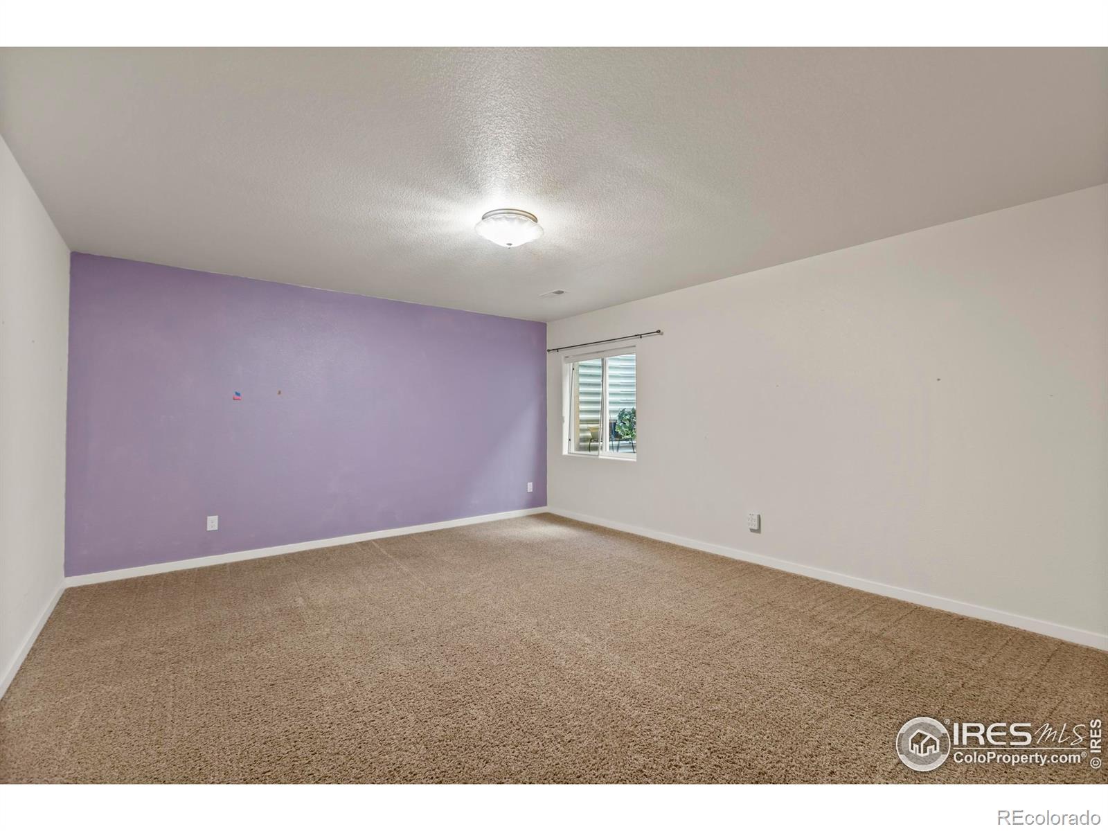 MLS Image #24 for 2968  hydra drive,loveland, Colorado