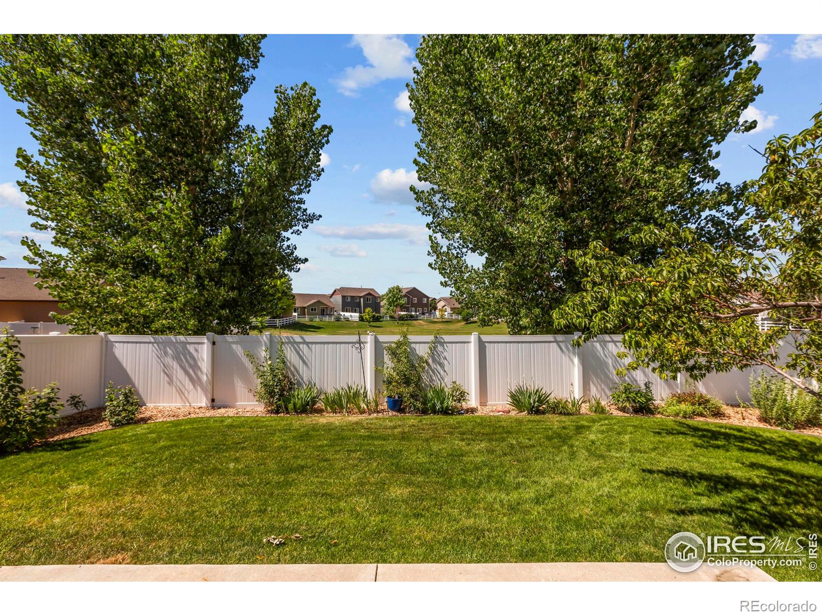 MLS Image #29 for 2968  hydra drive,loveland, Colorado