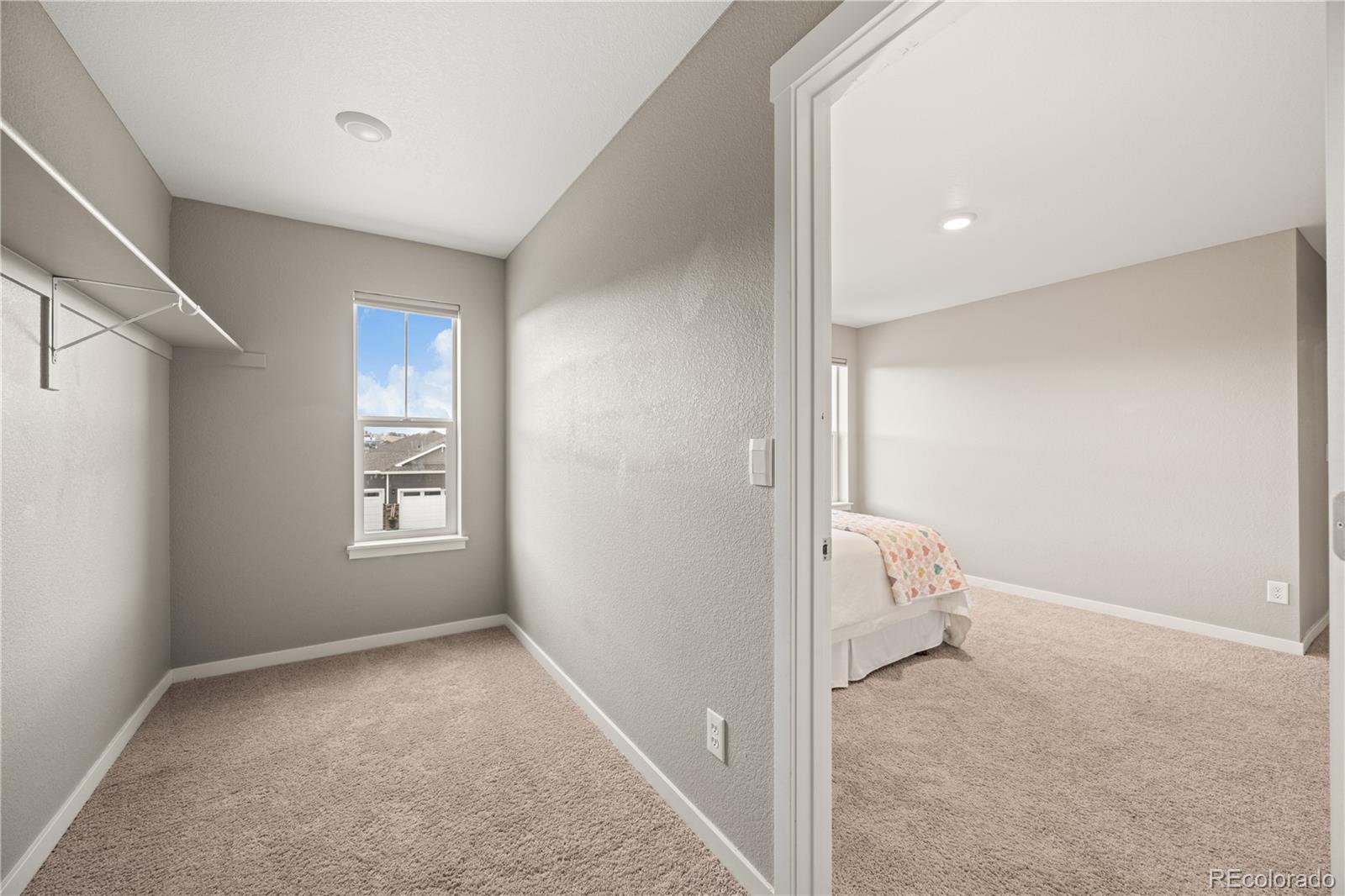 MLS Image #14 for 4986  cattle cross lane,castle rock, Colorado