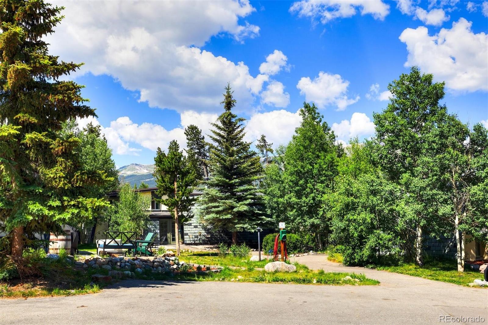 MLS Image #23 for 891  fairview boulevard,breckenridge, Colorado