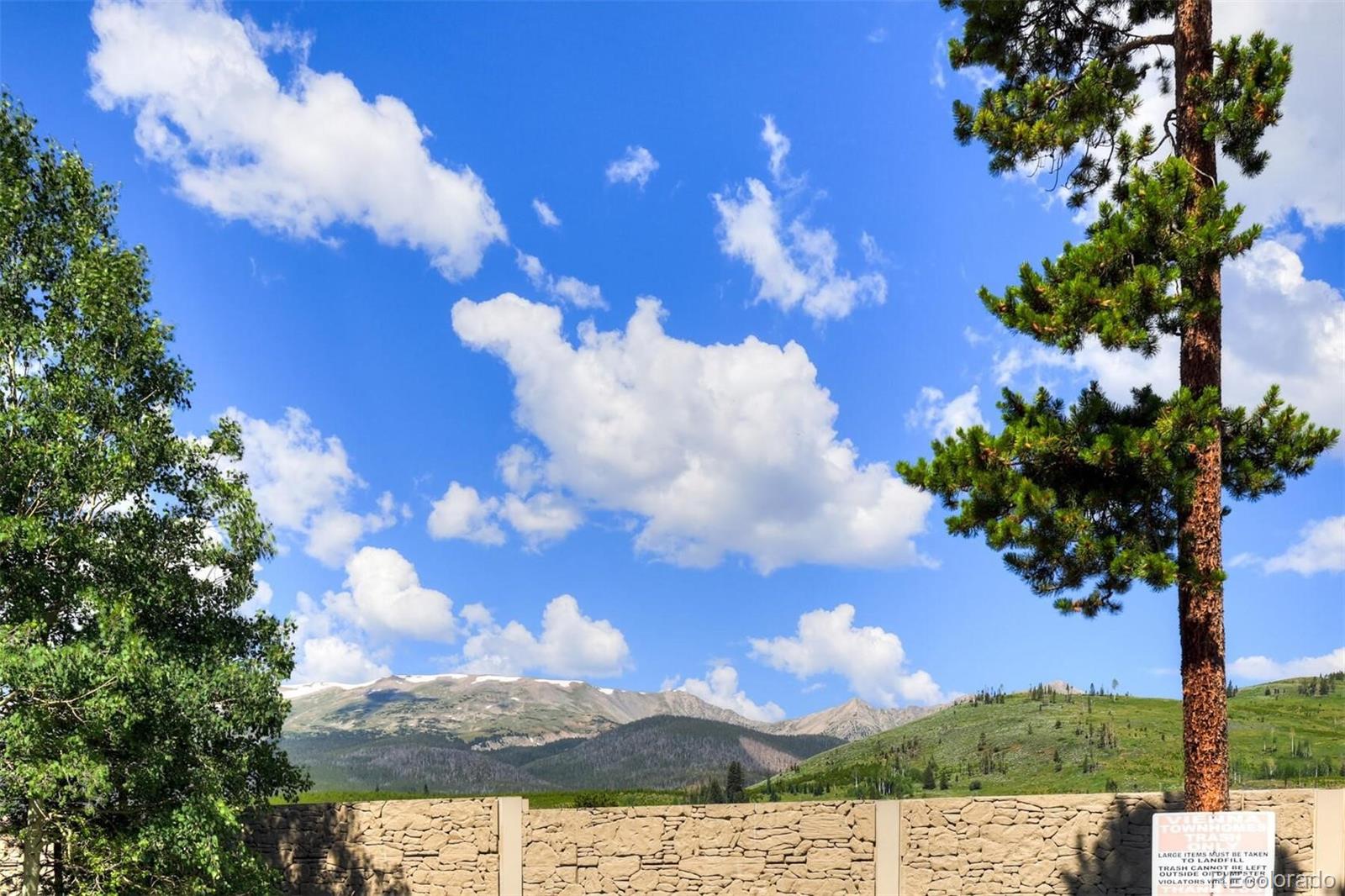 MLS Image #24 for 891  fairview boulevard,breckenridge, Colorado