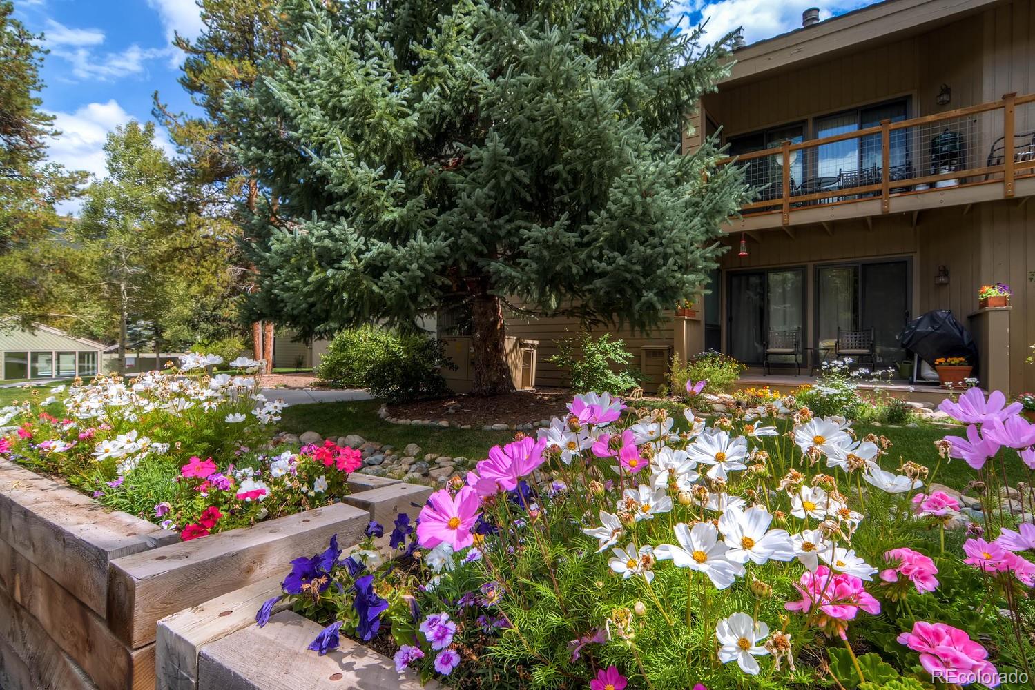 MLS Image #25 for 1937  soda ridge road 1132,keystone, Colorado