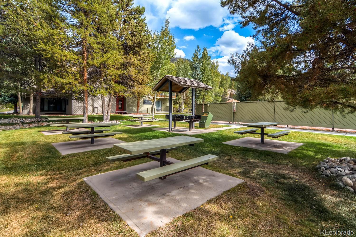 MLS Image #27 for 1937  soda ridge road 1132,keystone, Colorado