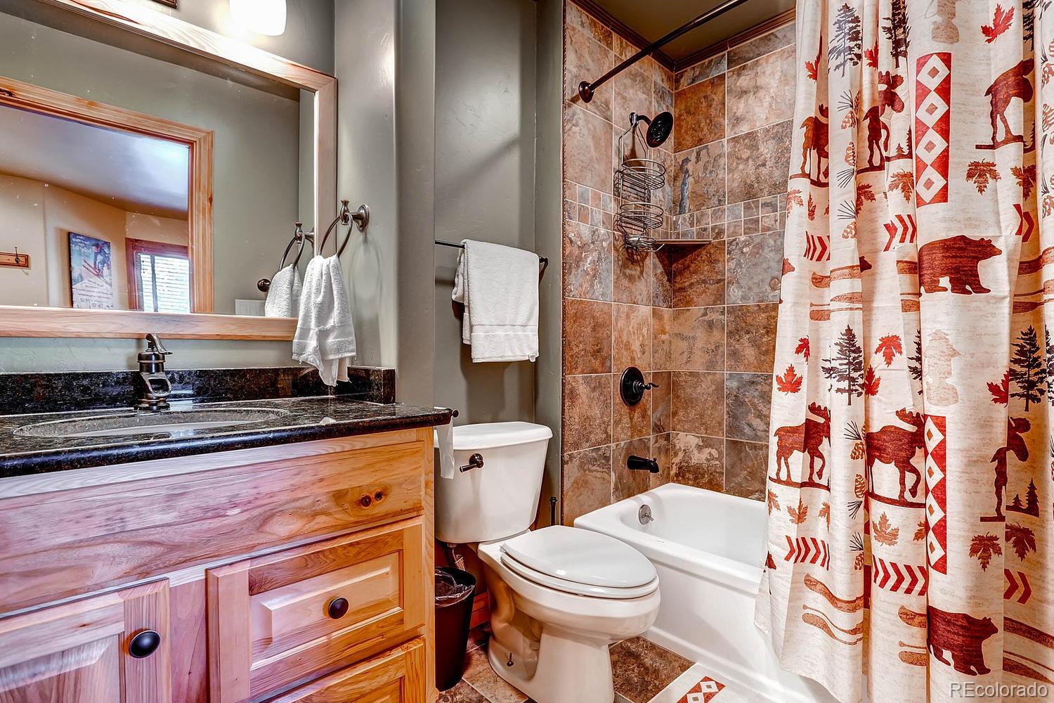 MLS Image #5 for 1937  soda ridge road 1132,keystone, Colorado
