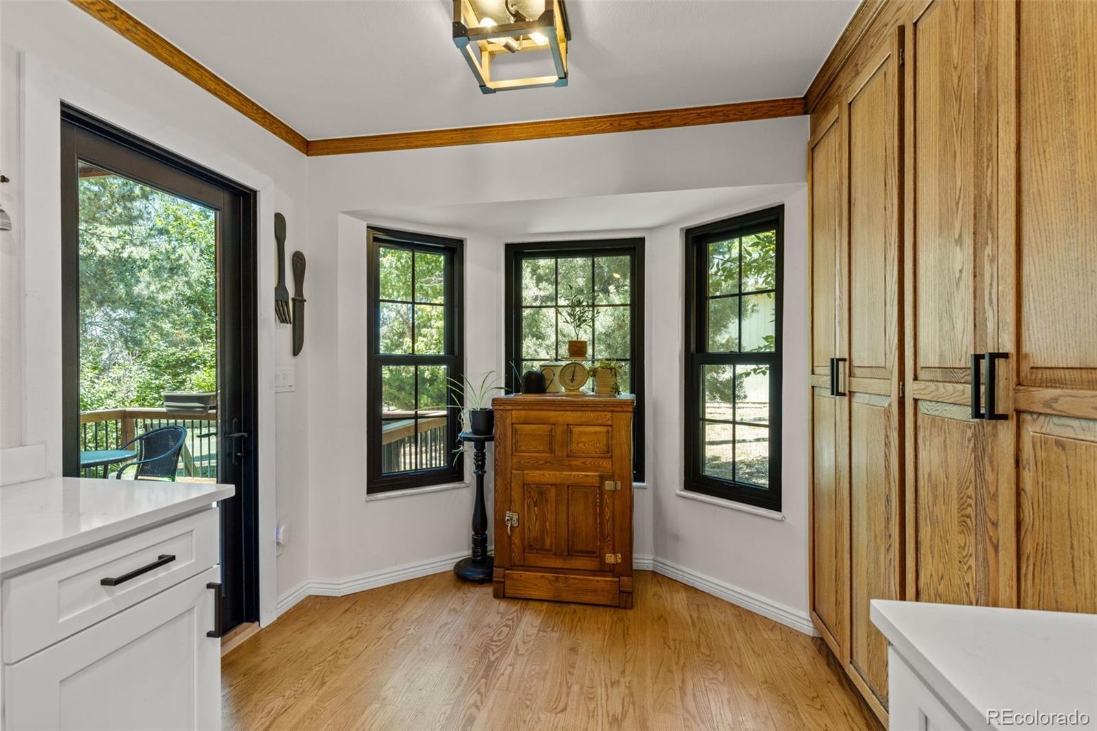 MLS Image #11 for 6641  hillside way,parker, Colorado
