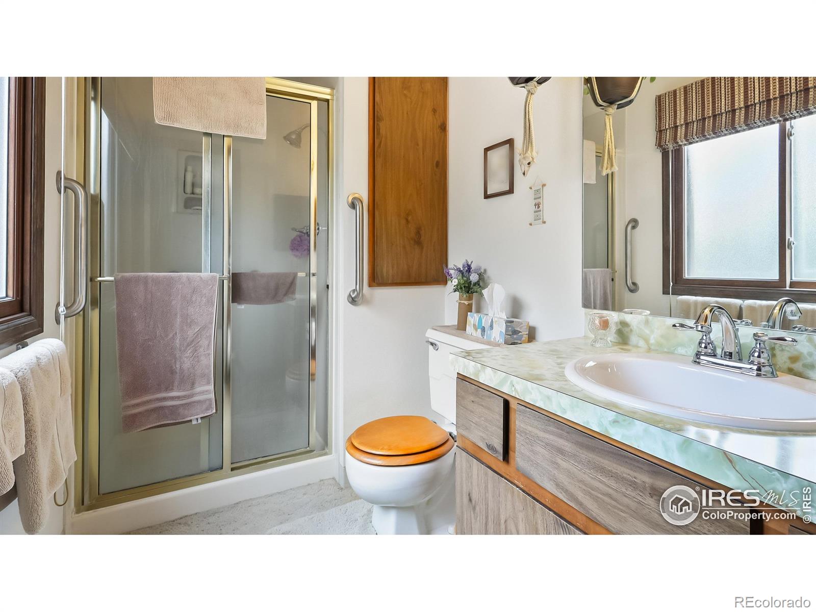 MLS Image #18 for 2937  alamo avenue,fort collins, Colorado