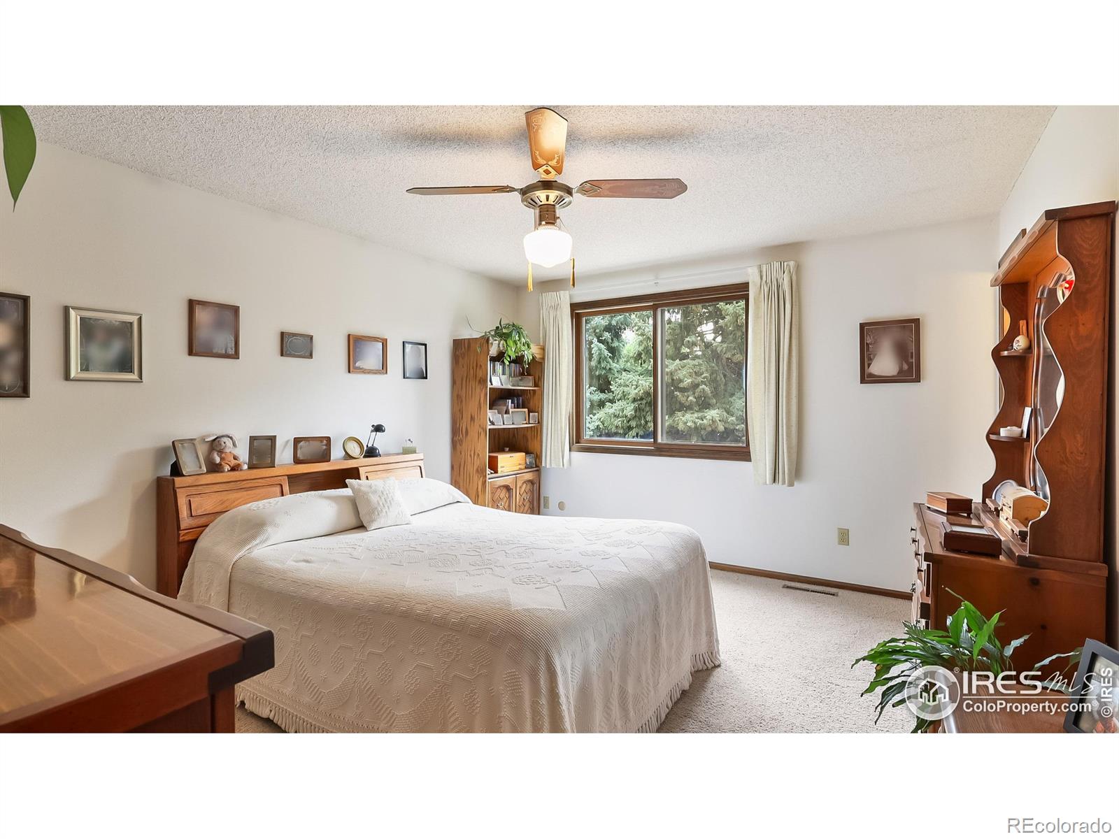 MLS Image #27 for 2937  alamo avenue,fort collins, Colorado