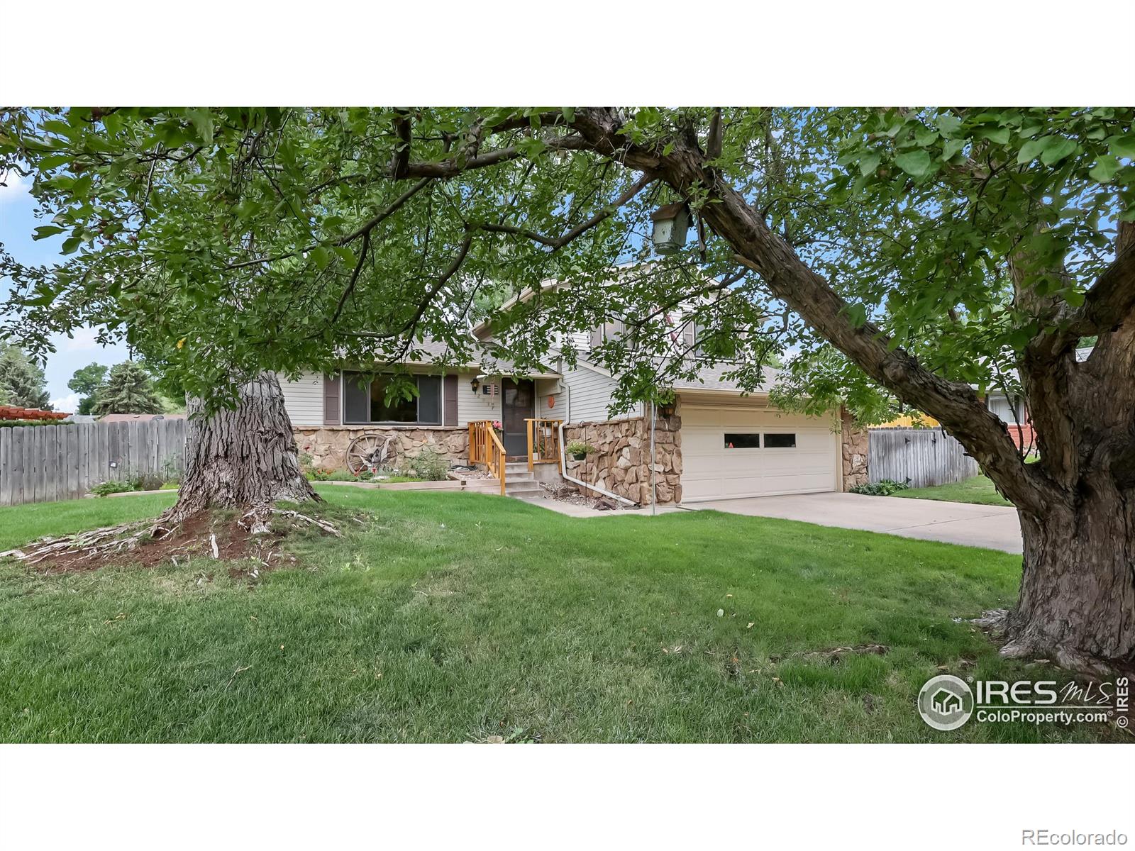MLS Image #3 for 2937  alamo avenue,fort collins, Colorado