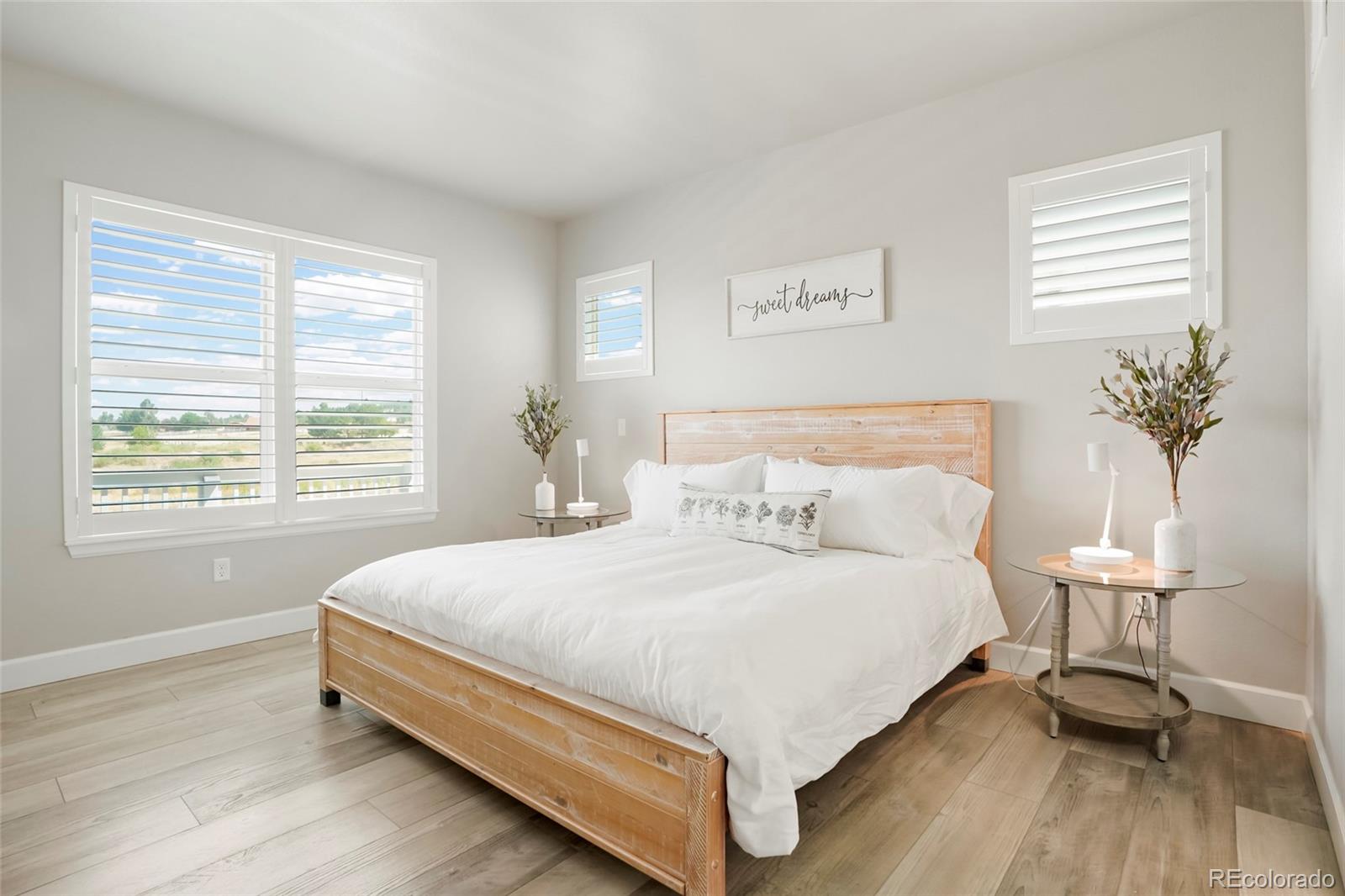 MLS Image #13 for 6805  zebra grass lane,parker, Colorado