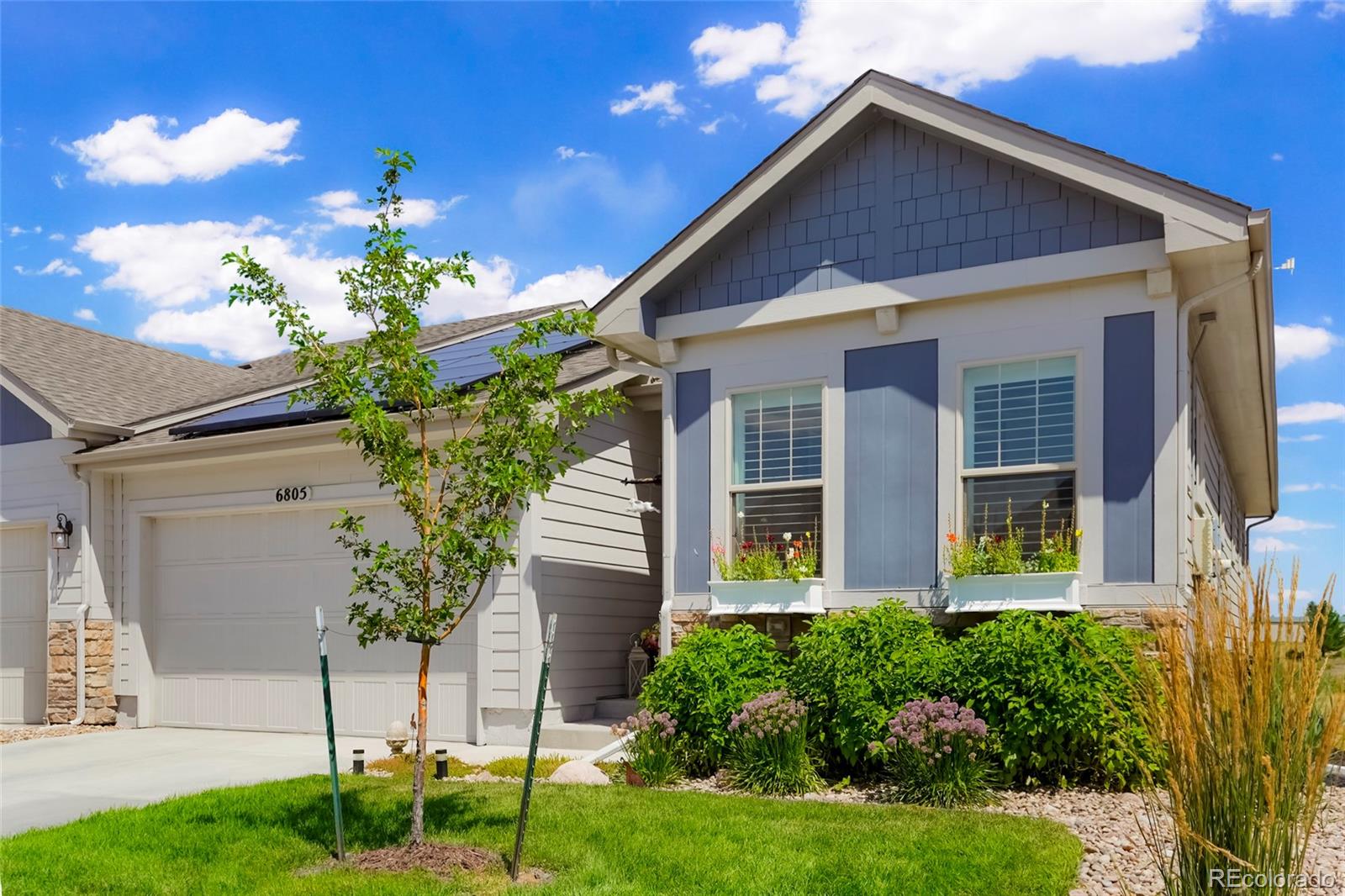 MLS Image #26 for 6805  zebra grass lane,parker, Colorado