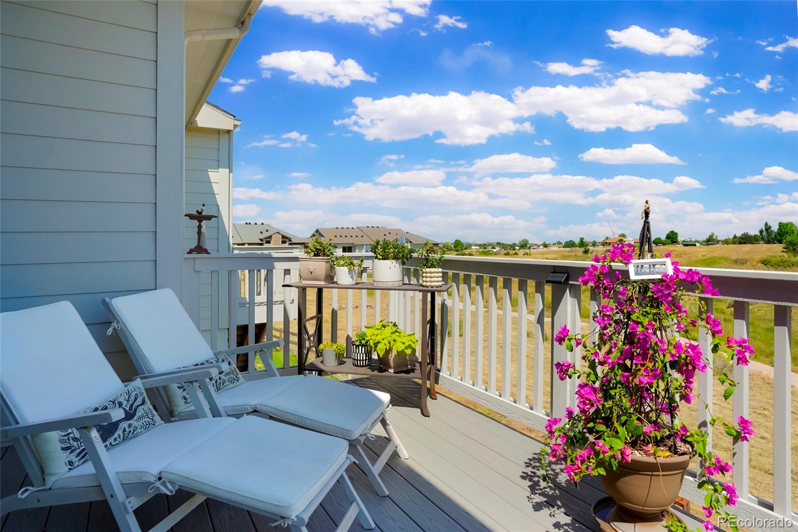 MLS Image #28 for 6805  zebra grass lane,parker, Colorado