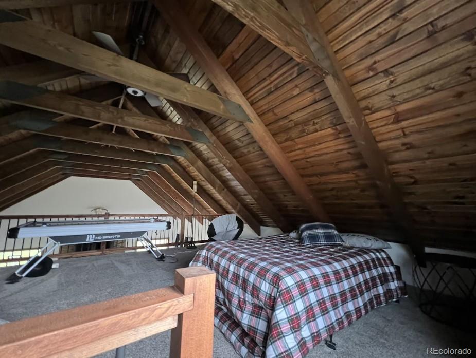 MLS Image #10 for 2921  petito drive,fort garland, Colorado