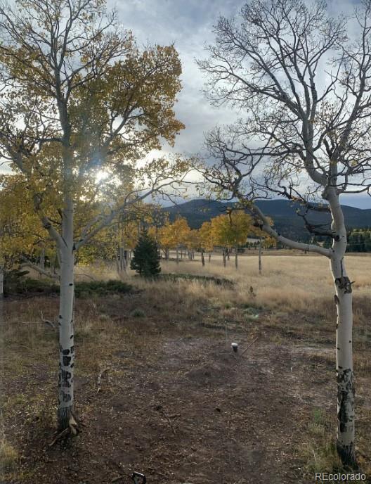 MLS Image #13 for 2921  petito drive,fort garland, Colorado