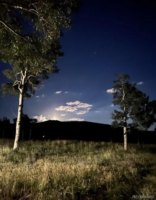 MLS Image #14 for 2921  petito drive,fort garland, Colorado