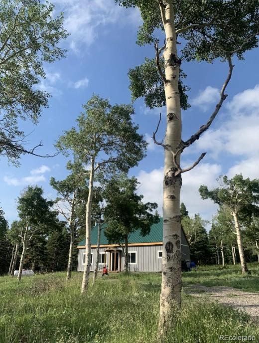 MLS Image #15 for 2921  petito drive,fort garland, Colorado