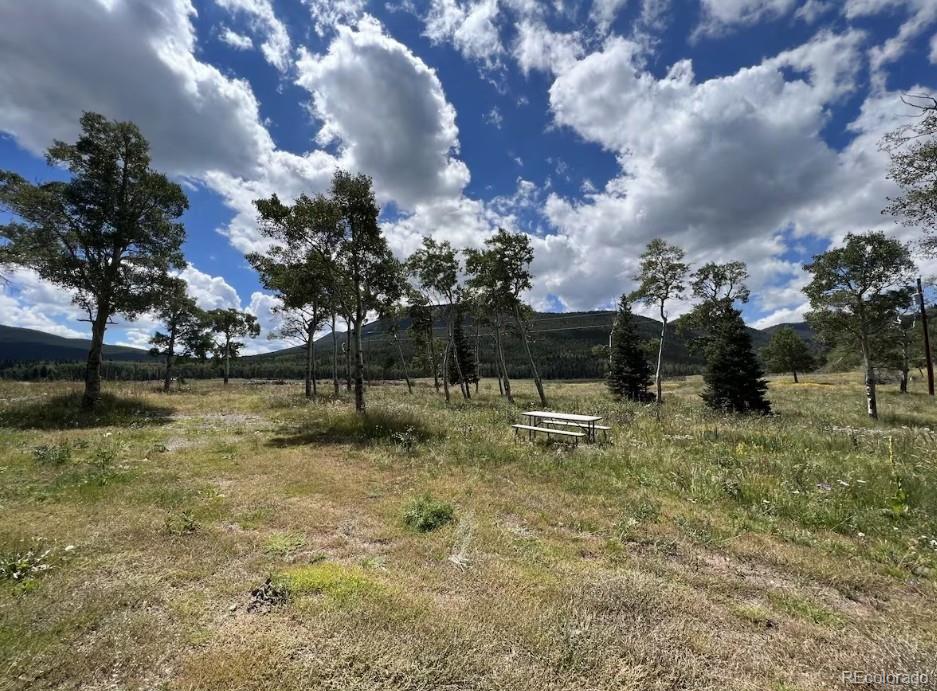MLS Image #16 for 2921  petito drive,fort garland, Colorado