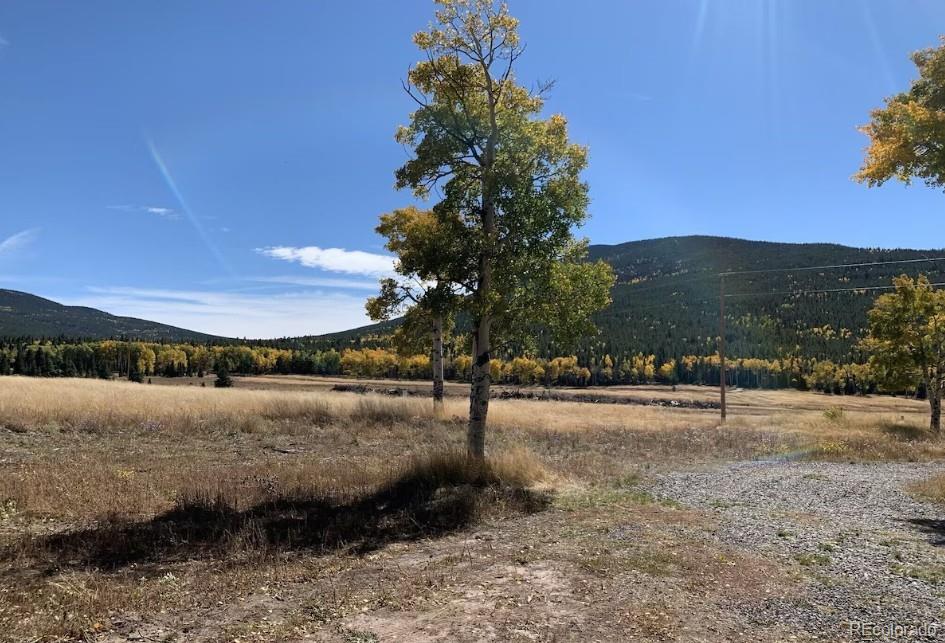 MLS Image #17 for 2921  petito drive,fort garland, Colorado