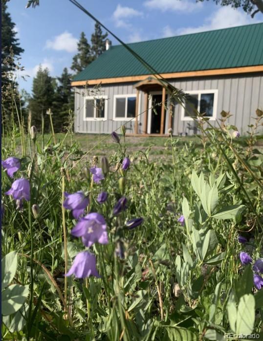 MLS Image #18 for 2921  petito drive,fort garland, Colorado
