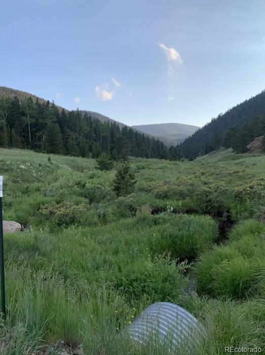 MLS Image #21 for 2921  petito drive,fort garland, Colorado
