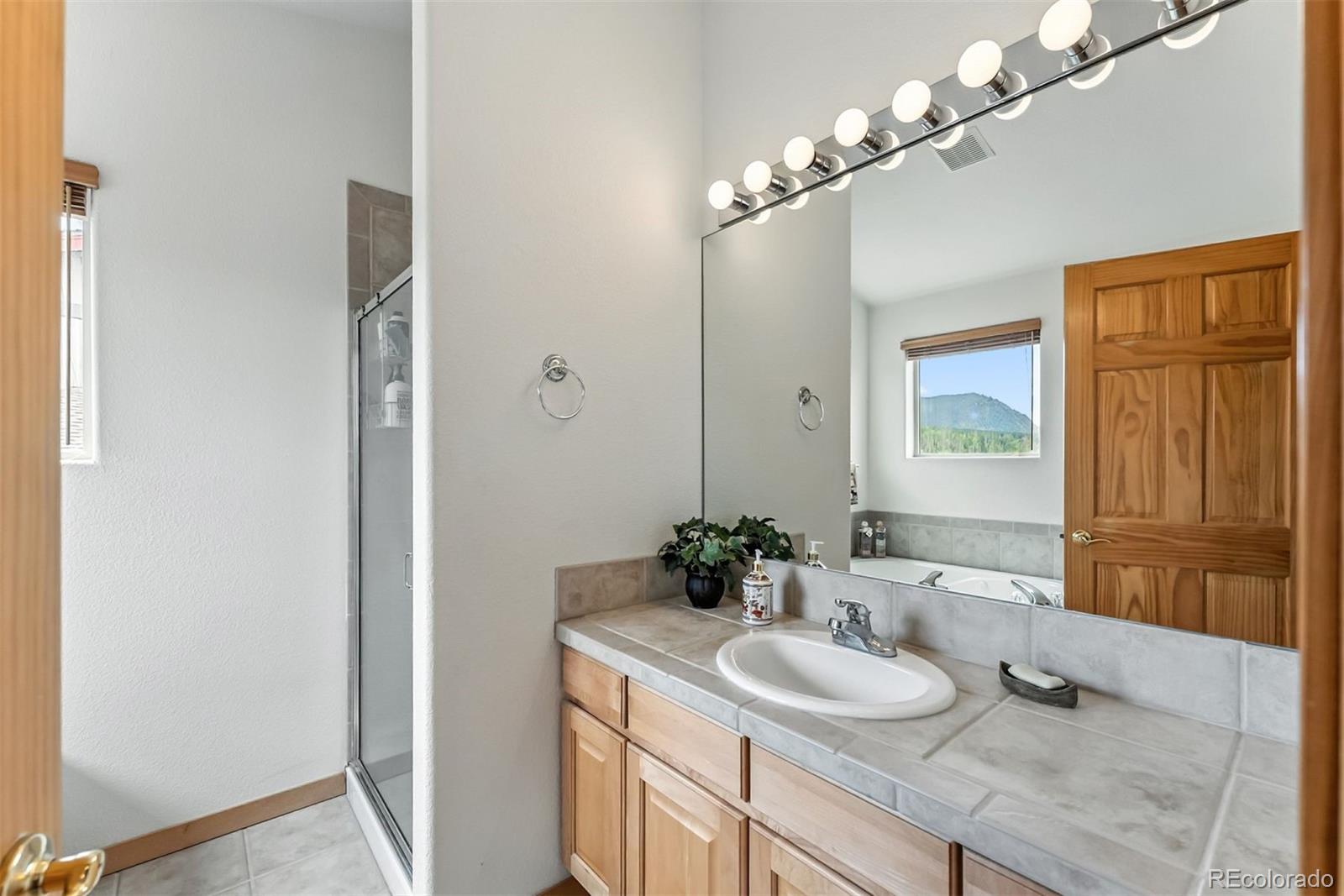 MLS Image #23 for 60  black diamond trail,silverthorne, Colorado