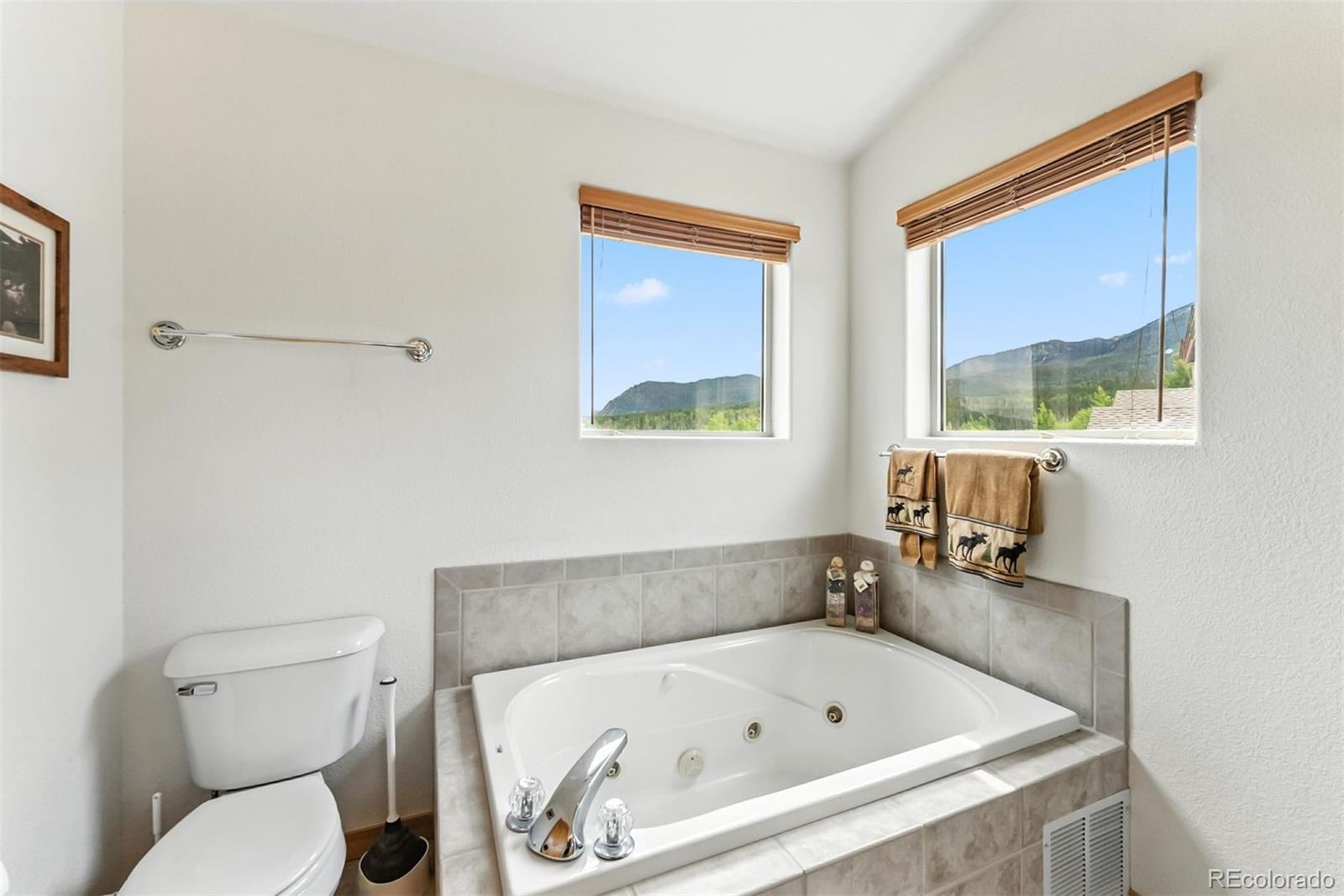 MLS Image #24 for 60  black diamond trail,silverthorne, Colorado