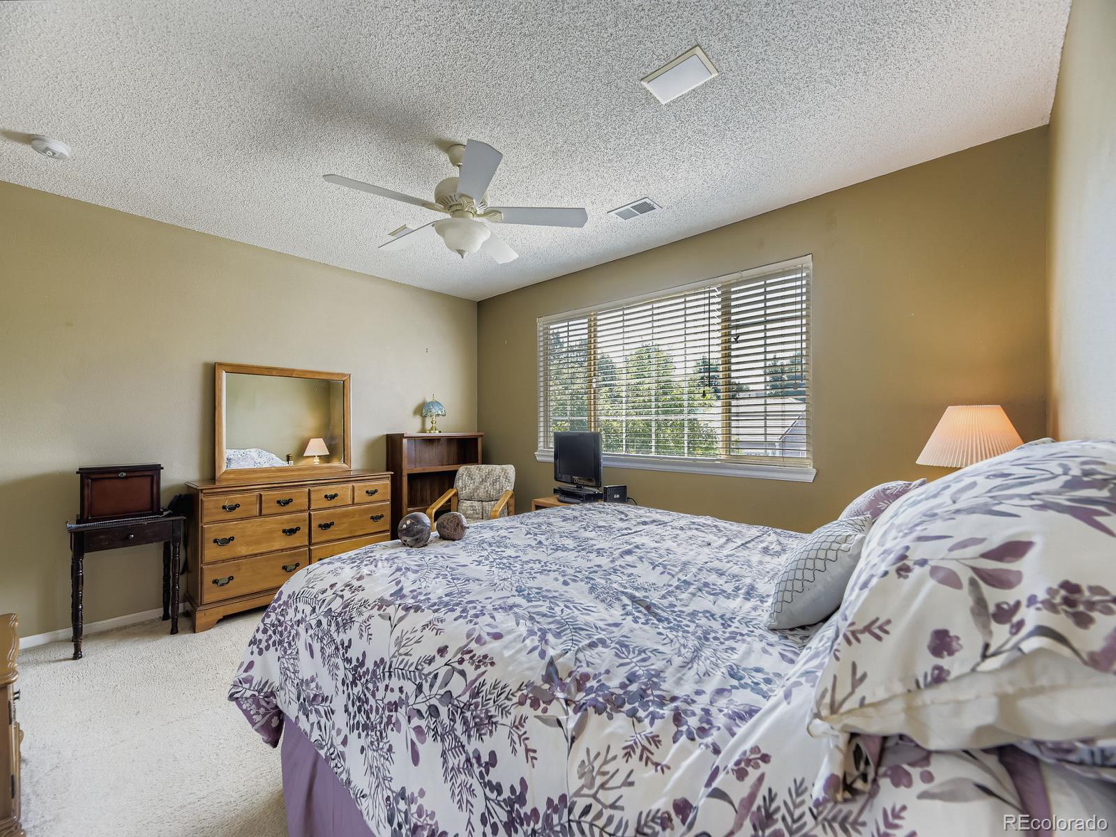 MLS Image #21 for 19435 e arcaro creek place,parker, Colorado